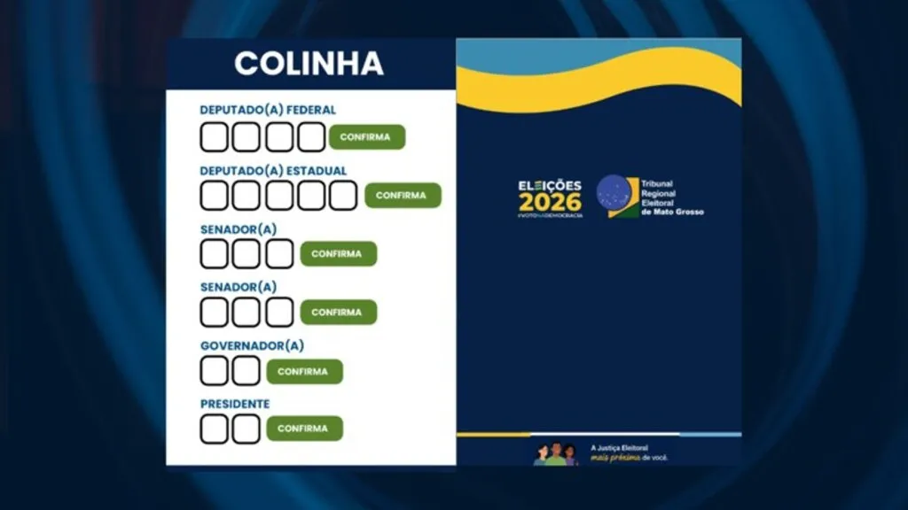 A colinha apresenta a ordem de votação correta para que o eleitor ou eleitora preencha com os candidatos escolhidos 
Fonte:TRE